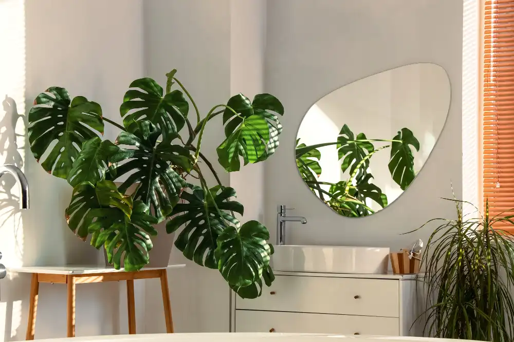 Spegel organisk form dekorativ