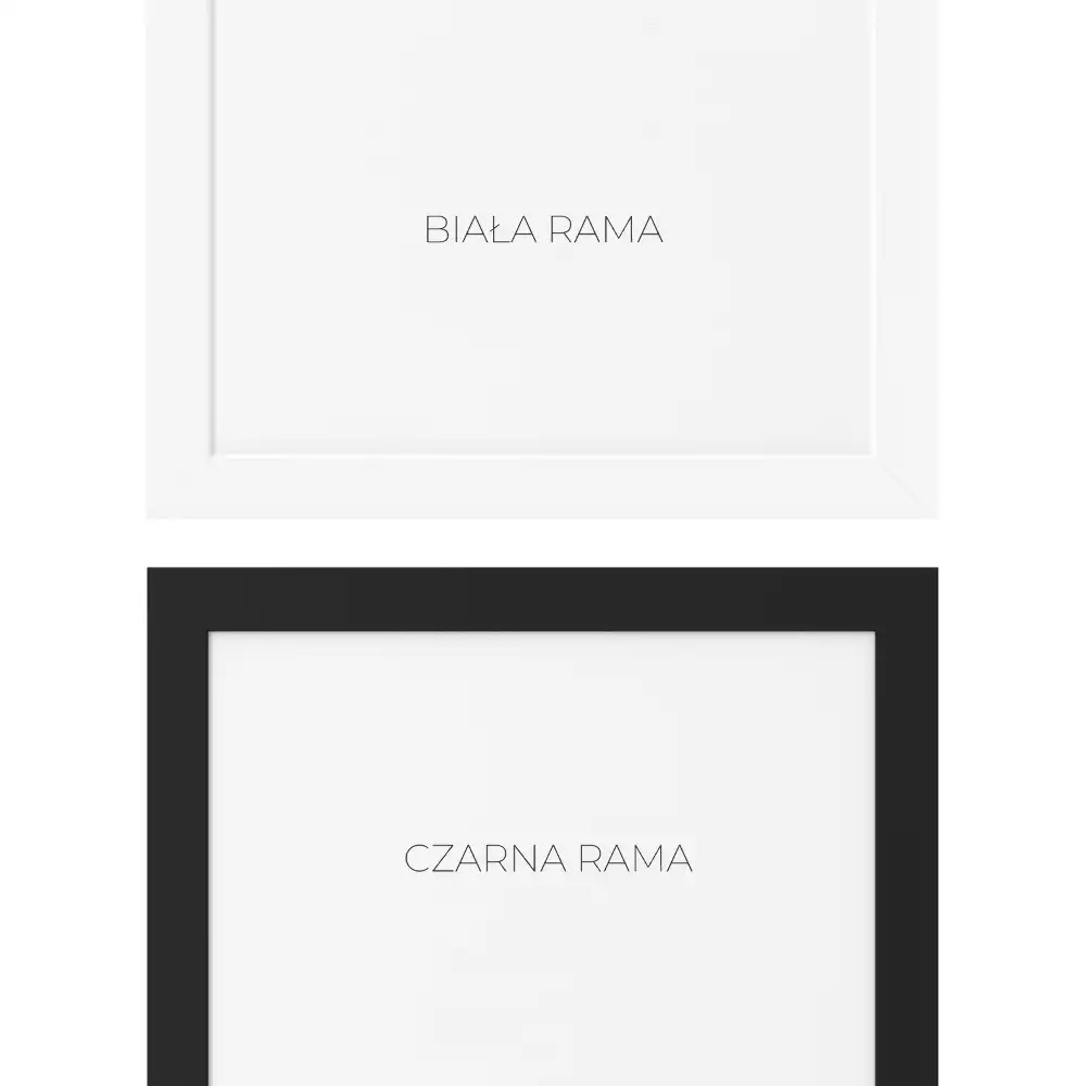 Rektangulär spegel med svart ram